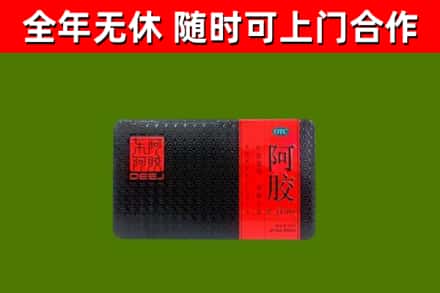 双城回收阿胶